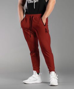 At mens pants burgundy 2