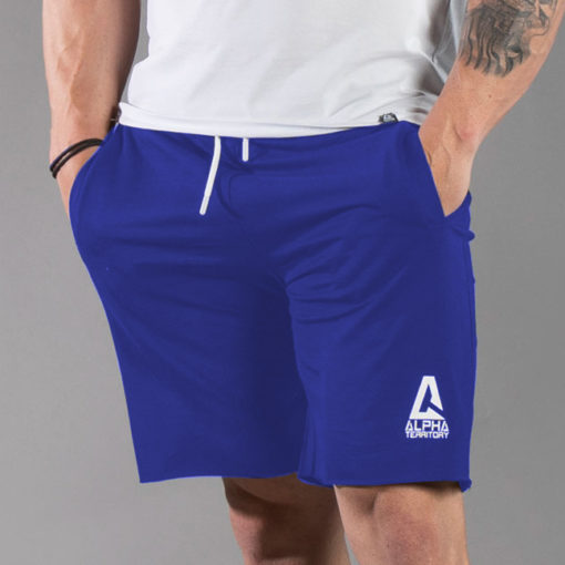 ALPHA Territory® - Men's Shorts