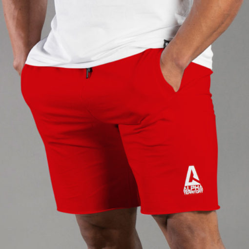 ALPHA Territory® - Men's Shorts